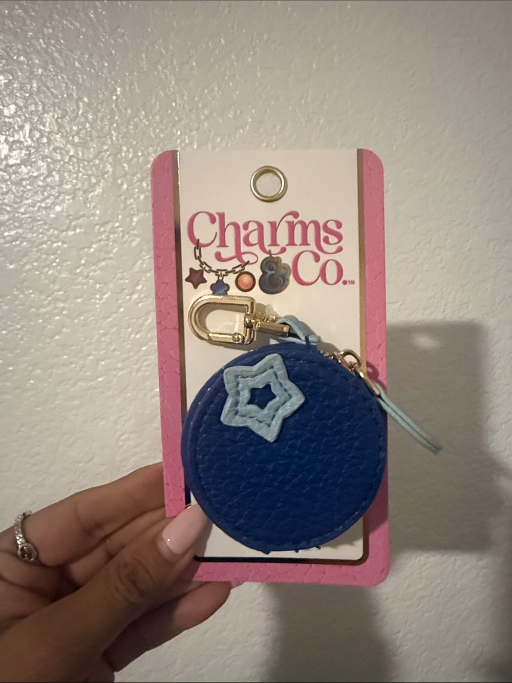 Charms & co keychain pouch